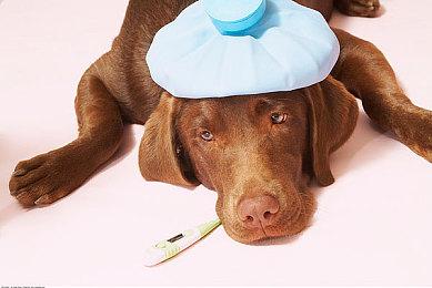 Switch 2手柄鼠标功能细节公开 指针速度可调节